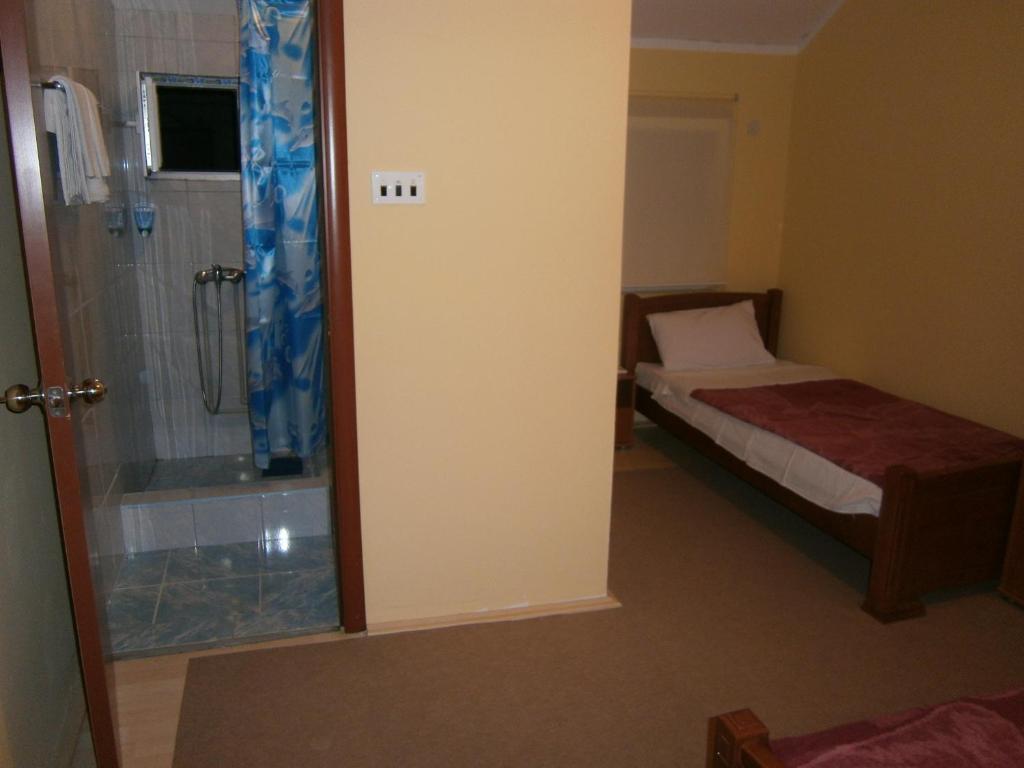 Vila Patria Podgorica Rum bild