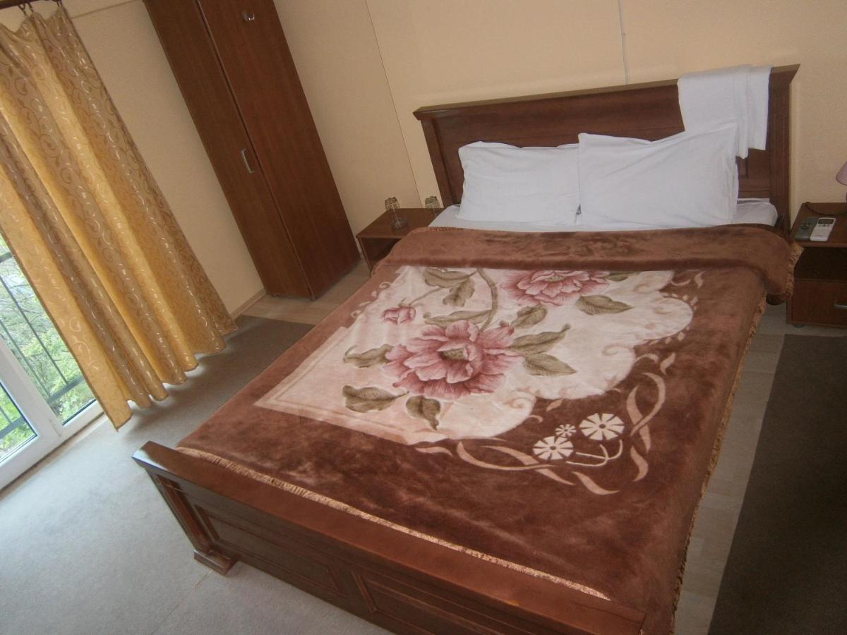 Vila Patria Podgorica Rum bild